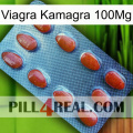 Viagra Kamagra 100Mg 06